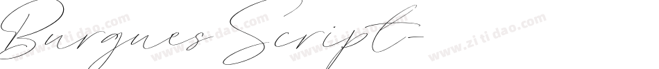 Burgues Script字体转换